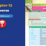 class-10-science-chapter-12-the-universe
