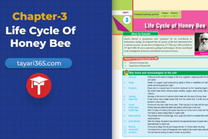 class-10-science-chapter-3-life-cycle