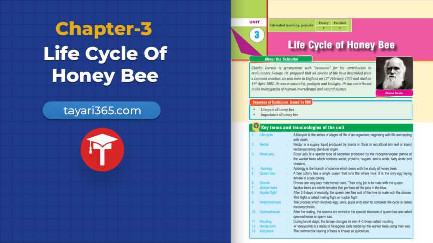class-10-science-chapter-3-life-cycle