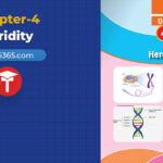 class-10-science-chapter-4-heredity