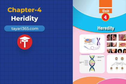 class-10-science-chapter-4-heredity