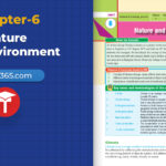 class-10-science-chapter-6-nature-and-environment