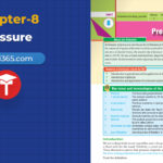 class-10-science-chapter-8-pressure